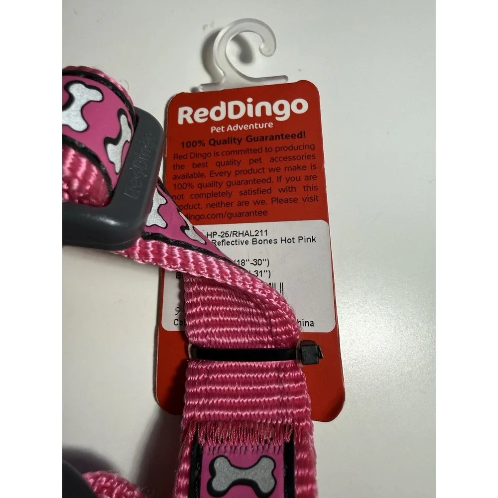Red Dingo red dingo